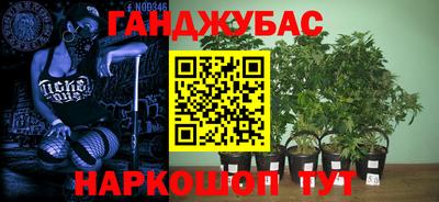 метамфетамин Гай